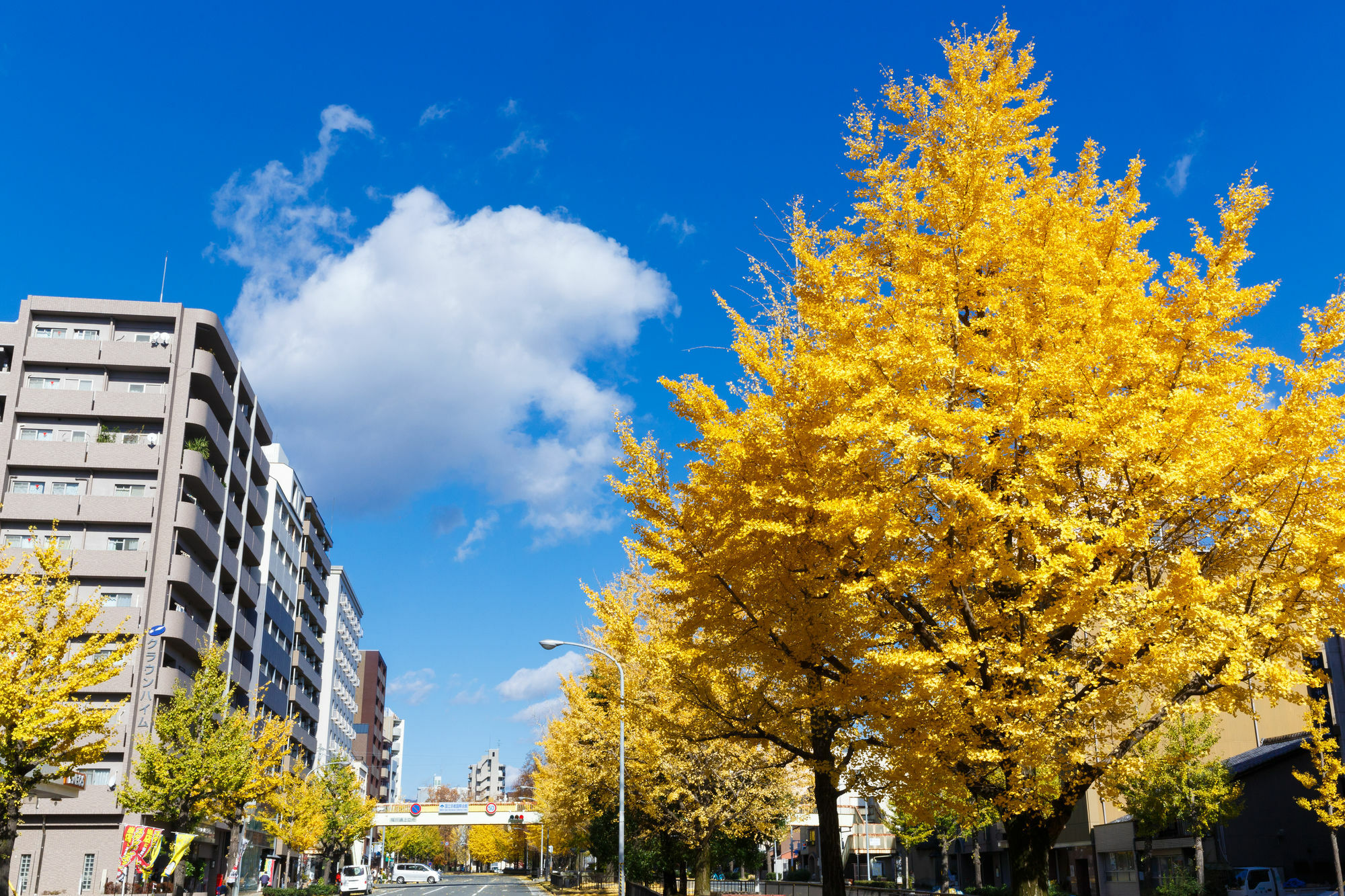 Kyoto City Hotel Exteriér fotografie
